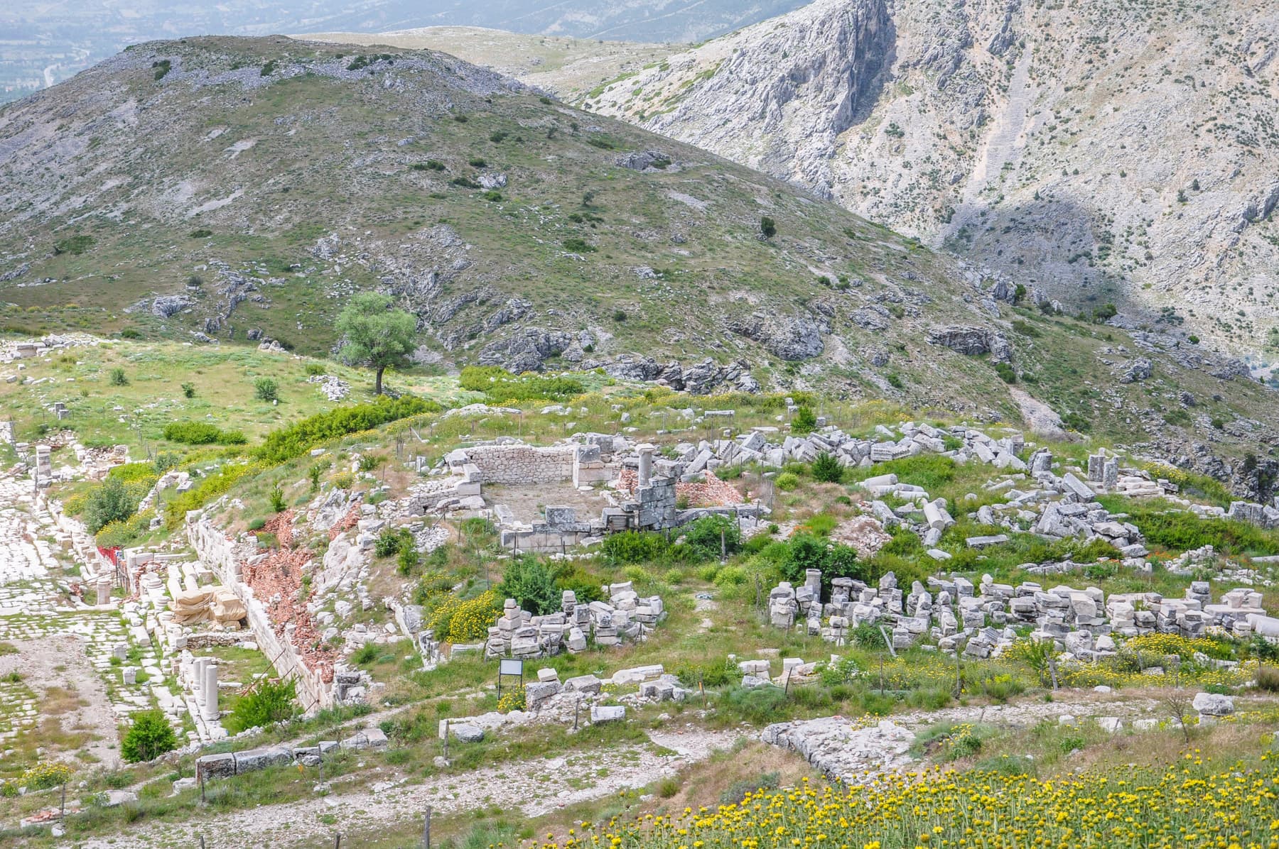 Temple of Apollo Klarios