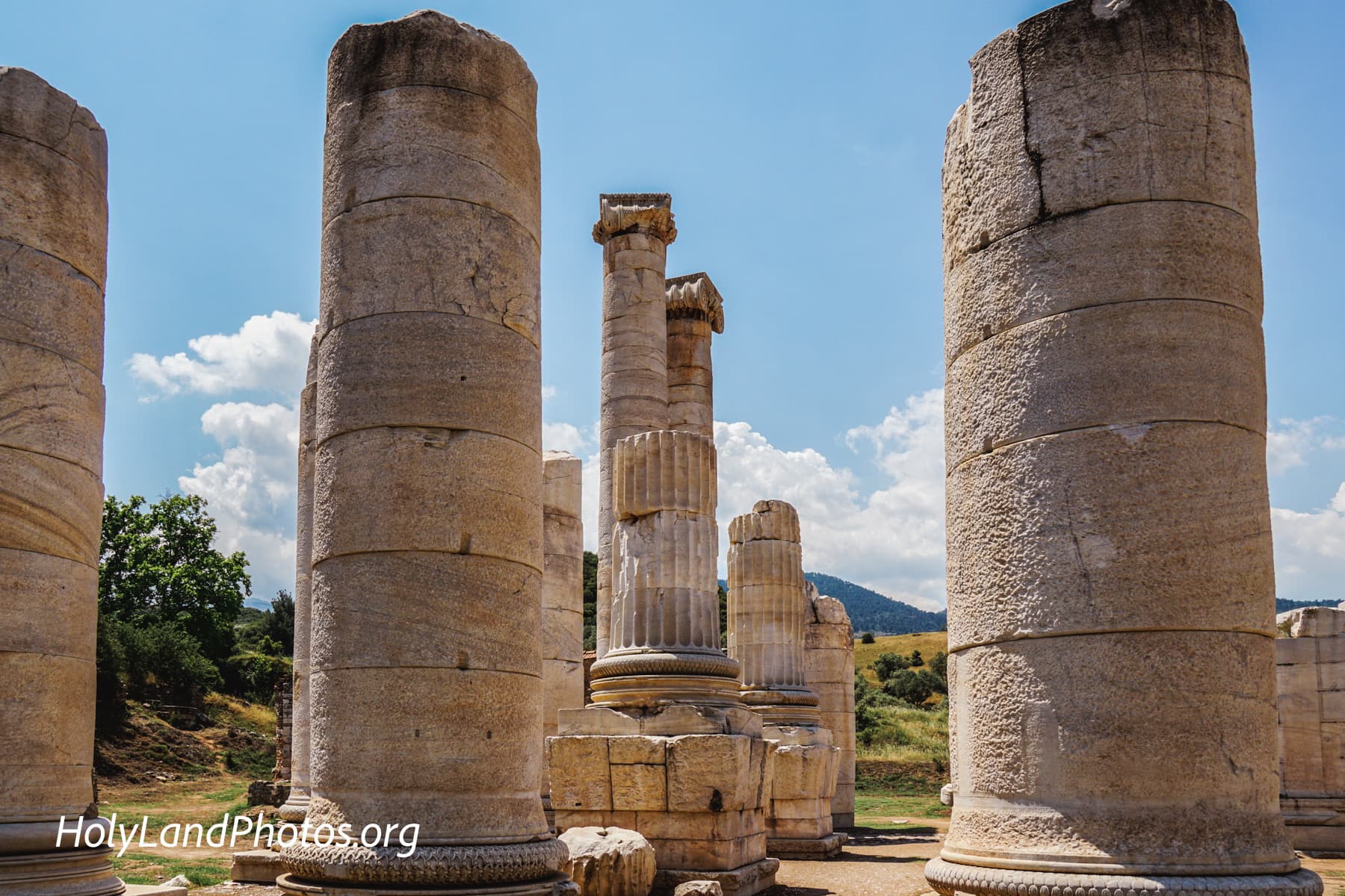 Forest of Columns