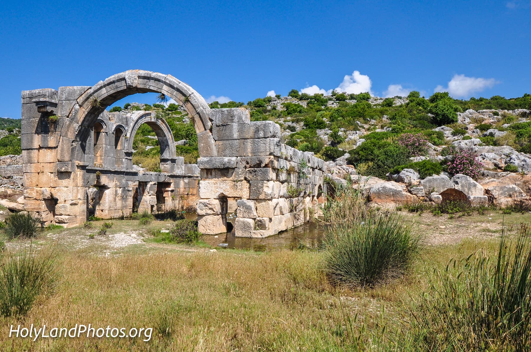 Nymphaeum Closeup