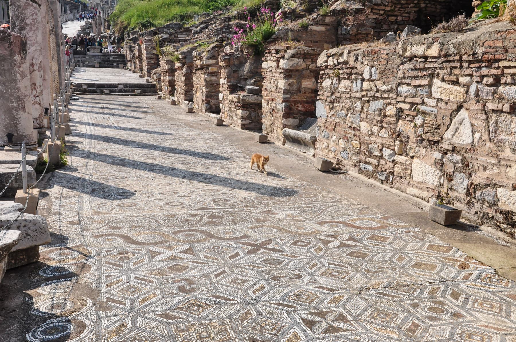 Mosaic Pavement