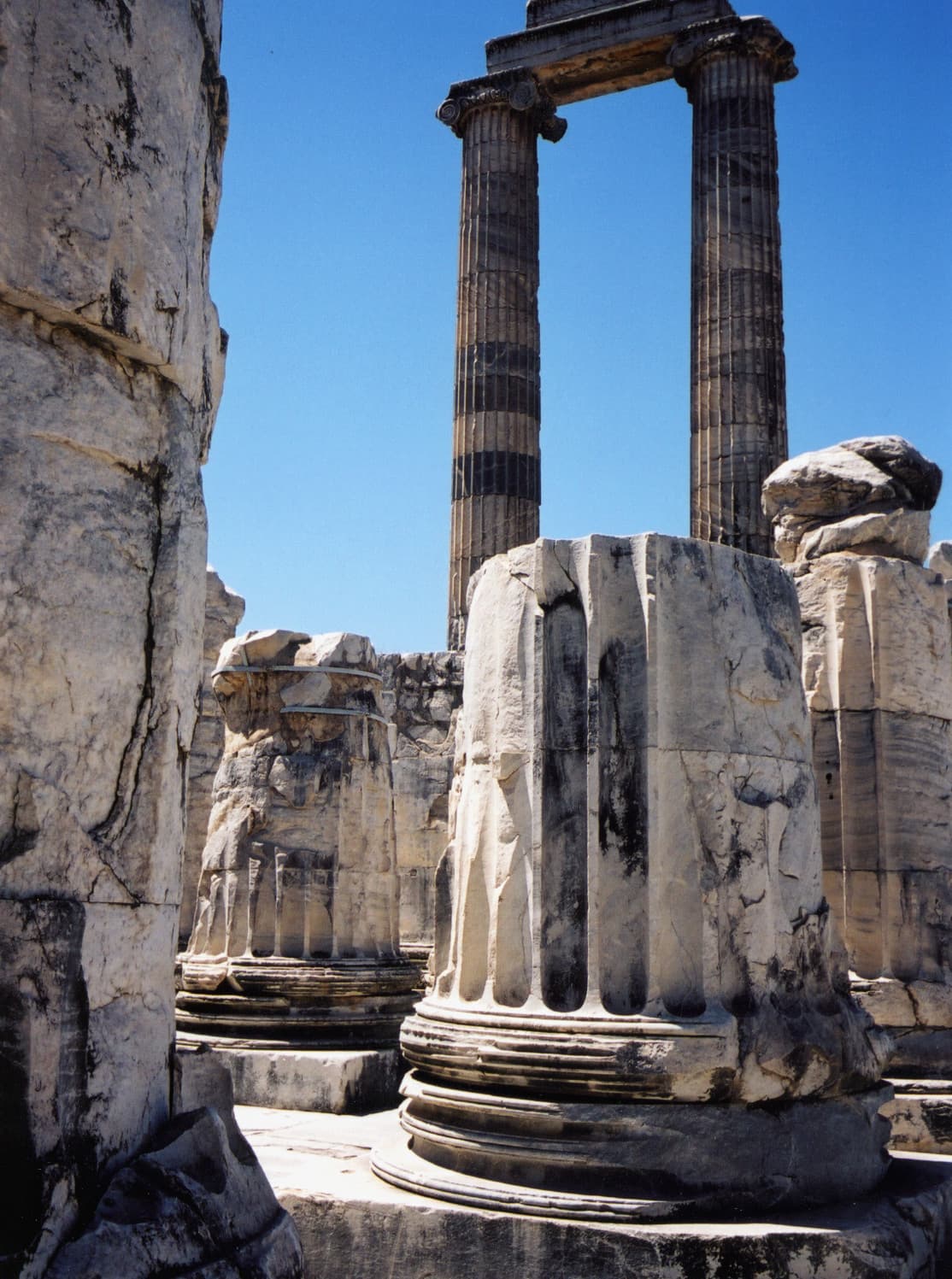 Forest of Columns 1