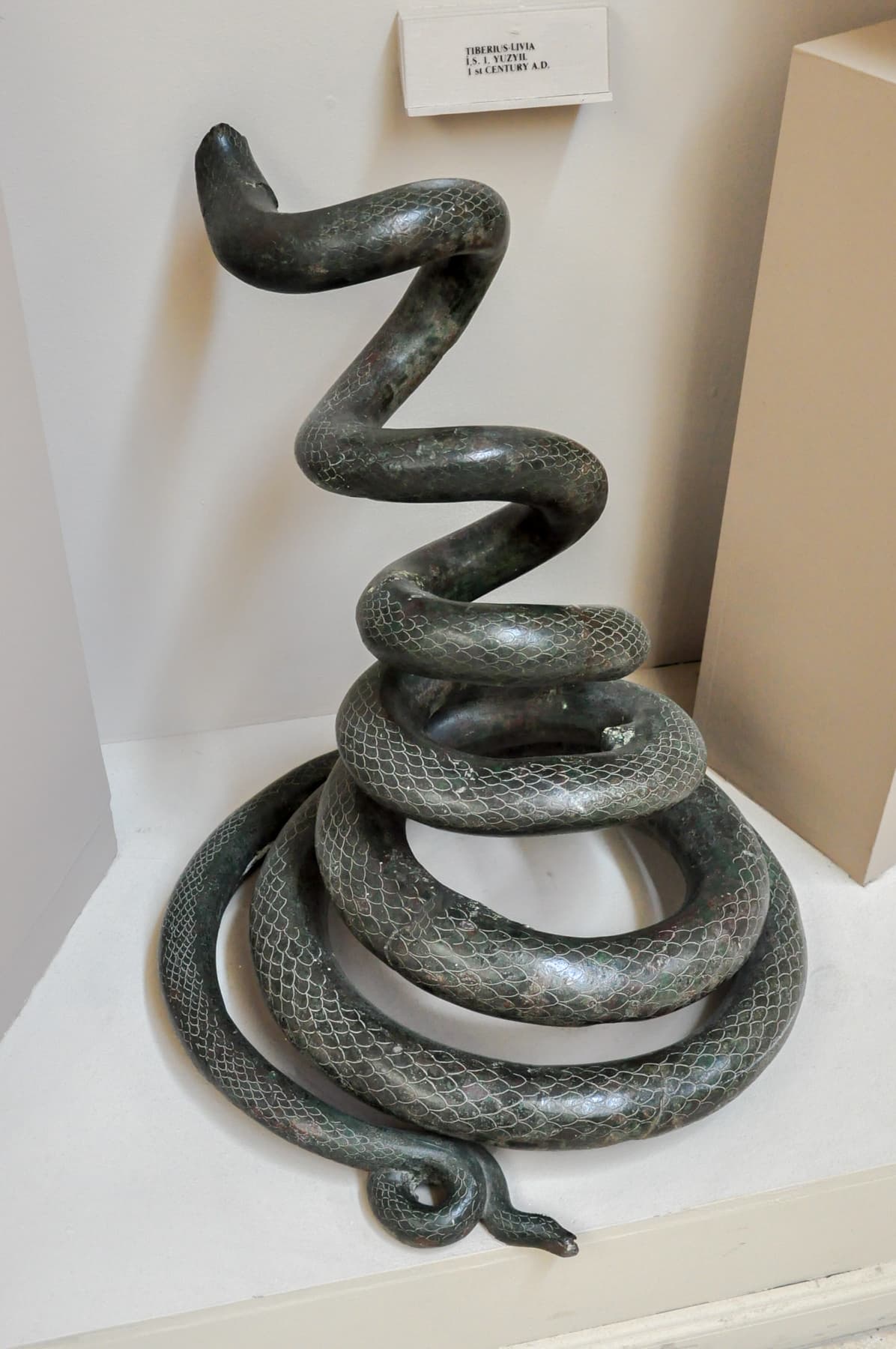 Bronze Coiled Snake