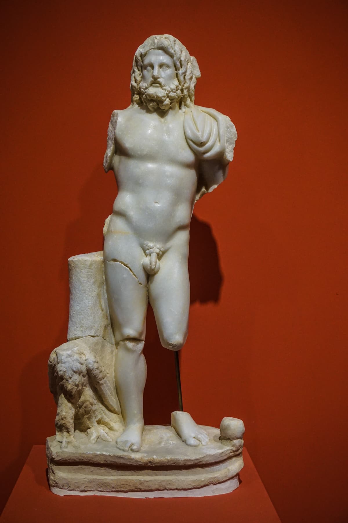 Zeus