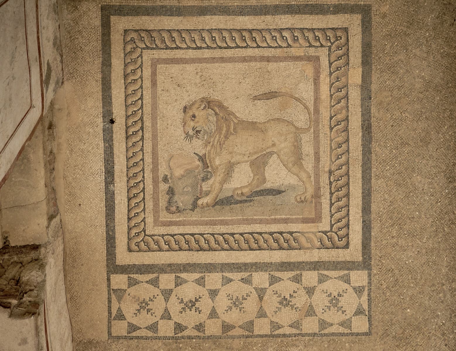 TH3  Lion Mosaic