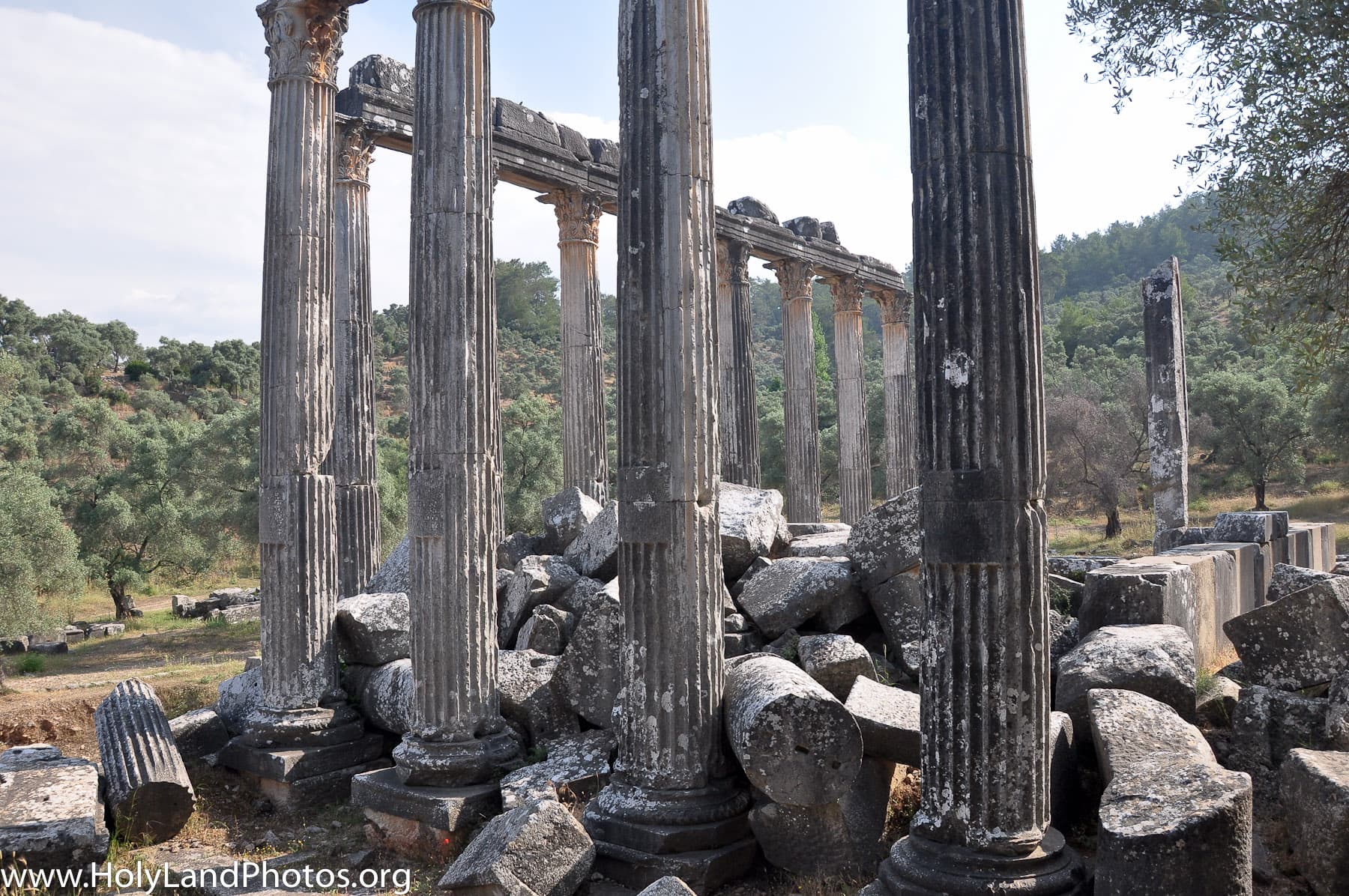 Columns and Placards