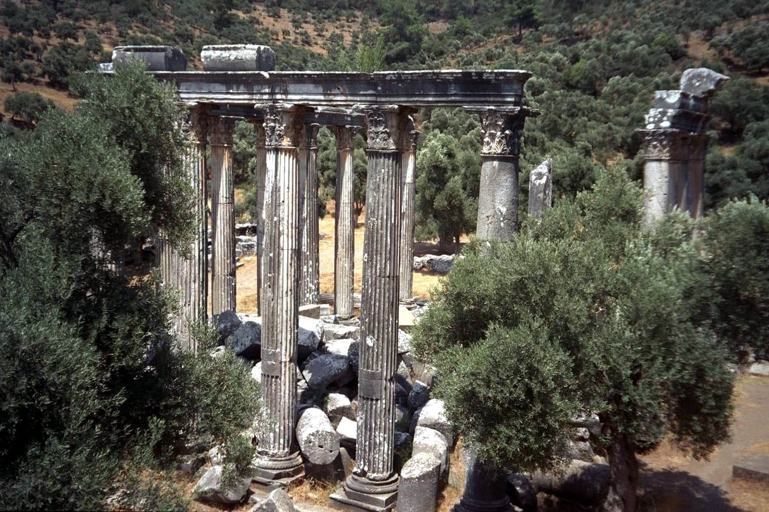 Western End