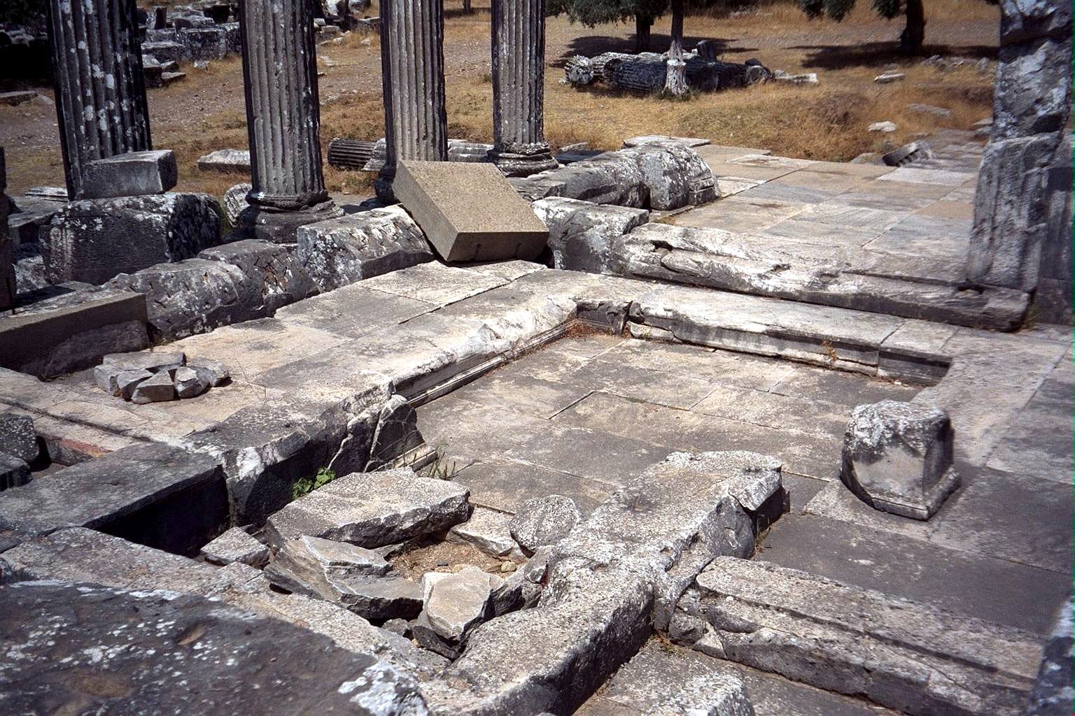 Interior Cella 3