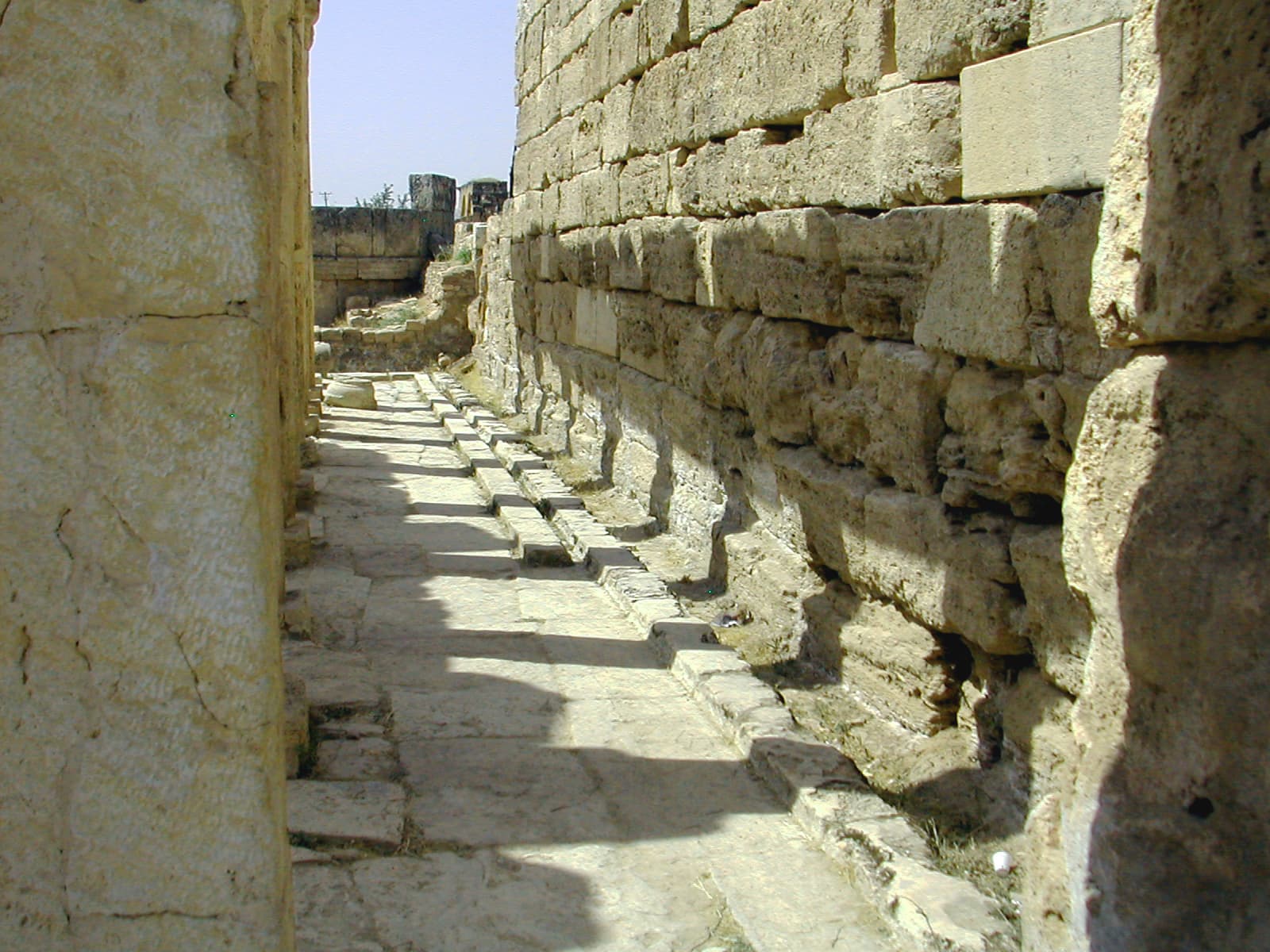 Latrine