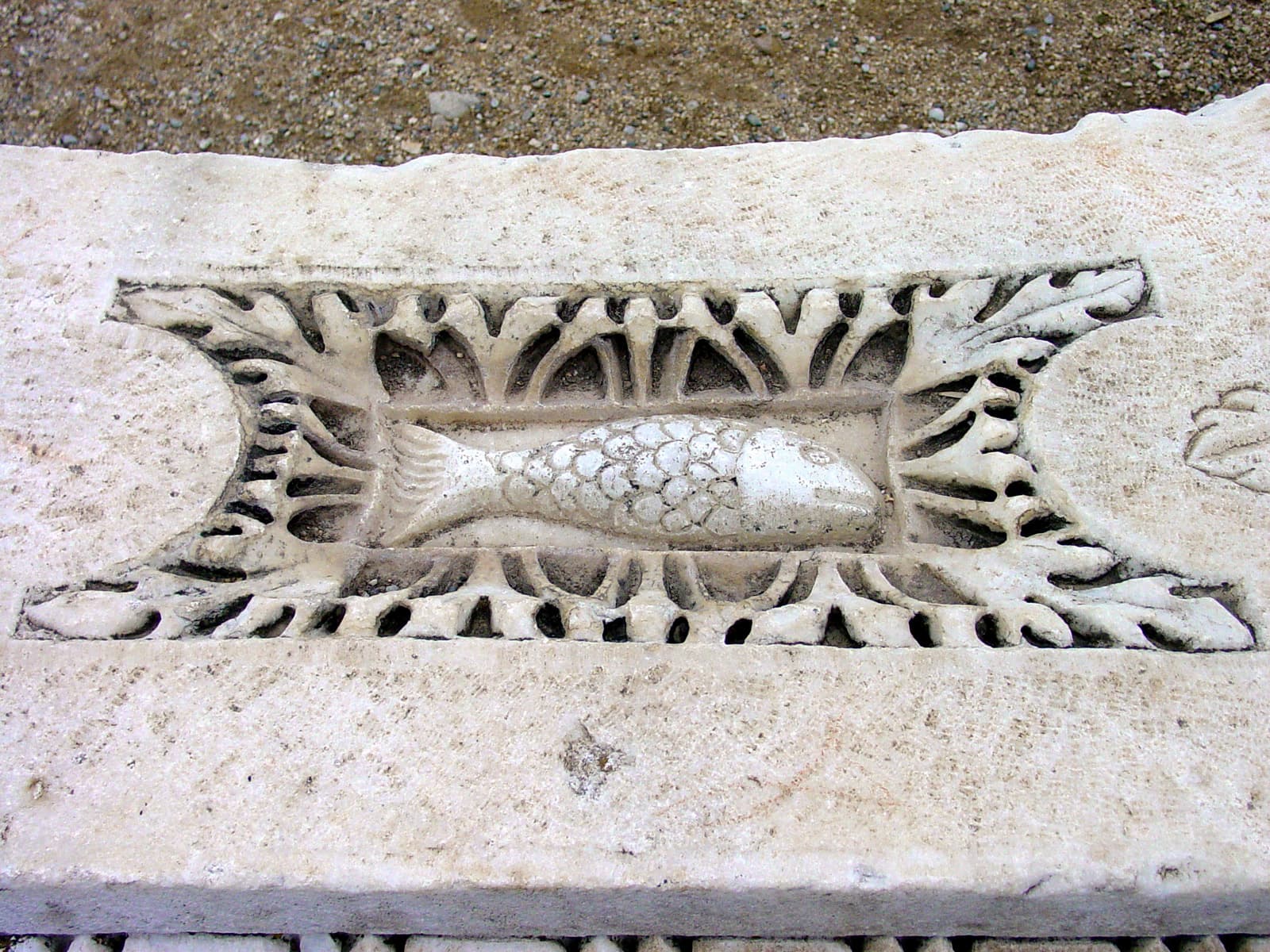 Fish