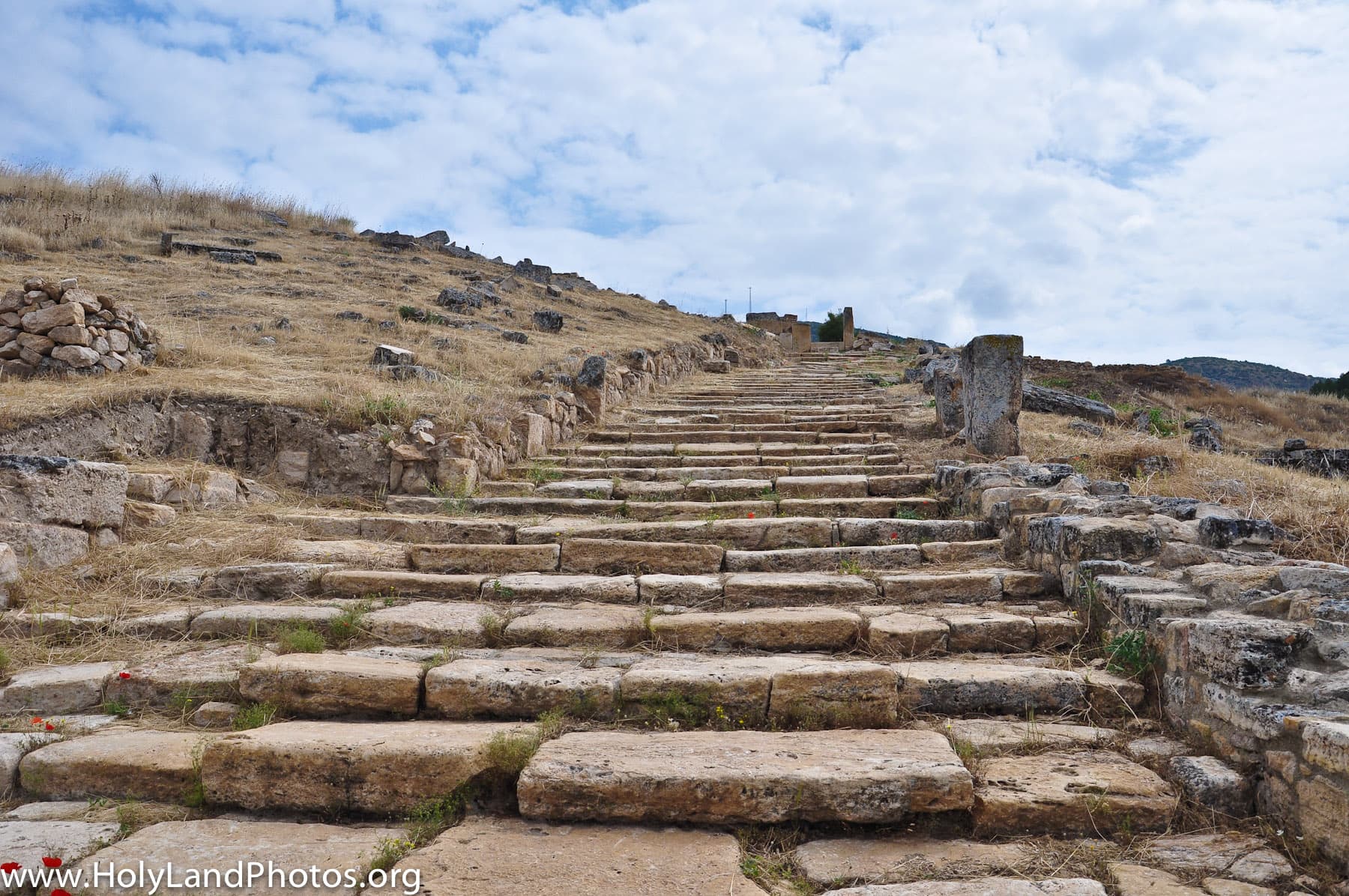 Pilgrims Path 4