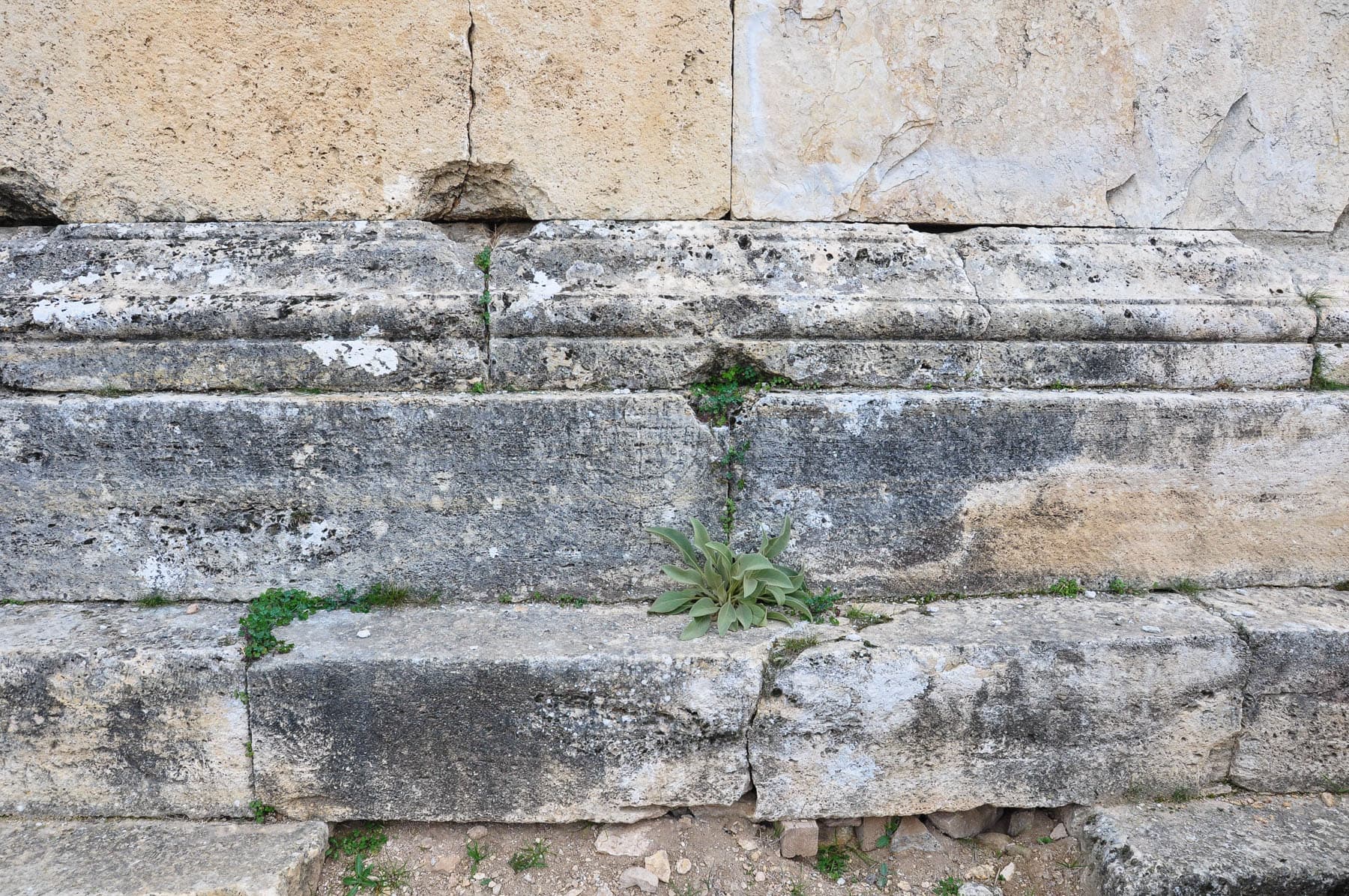 Menorah - Tomb 163d