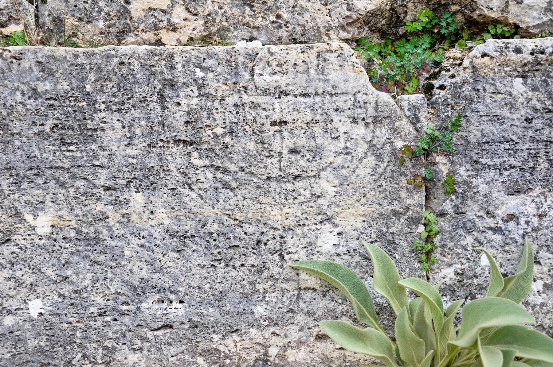 Menorah Detail Tomb 163d