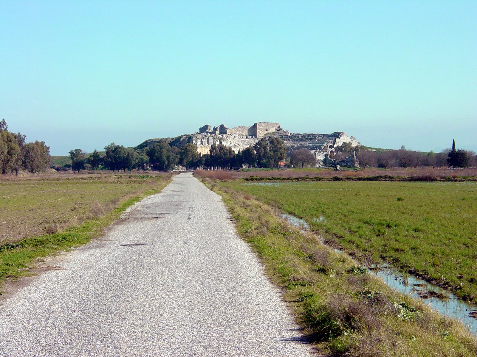 Approach to Miletus