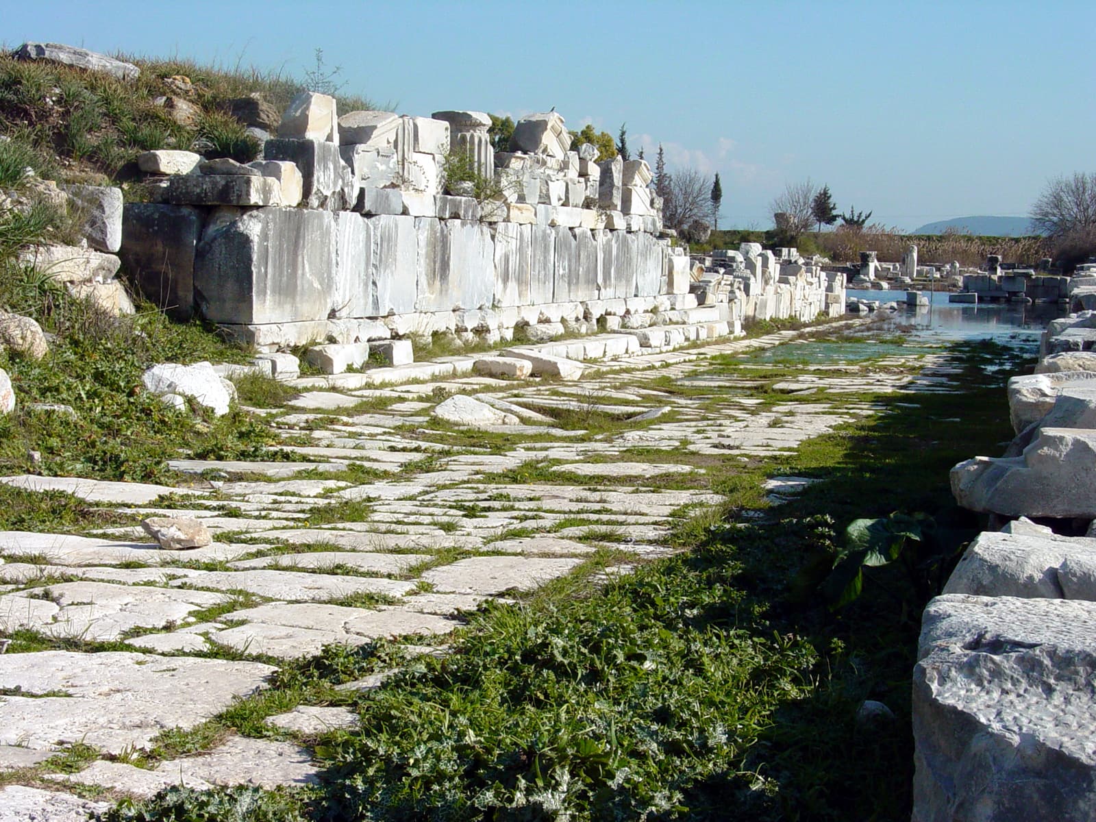 Southern Agora (2)