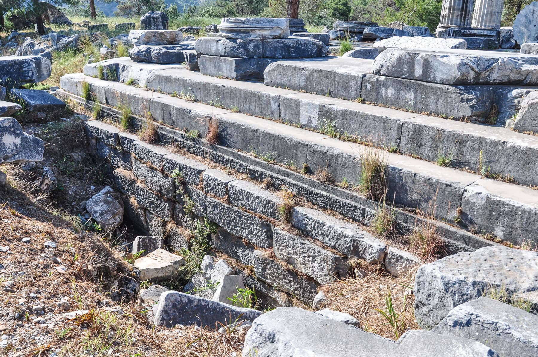 Foundations (Crepidoma)