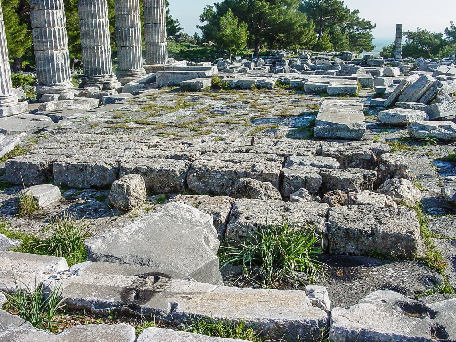 Interior Temple Athena