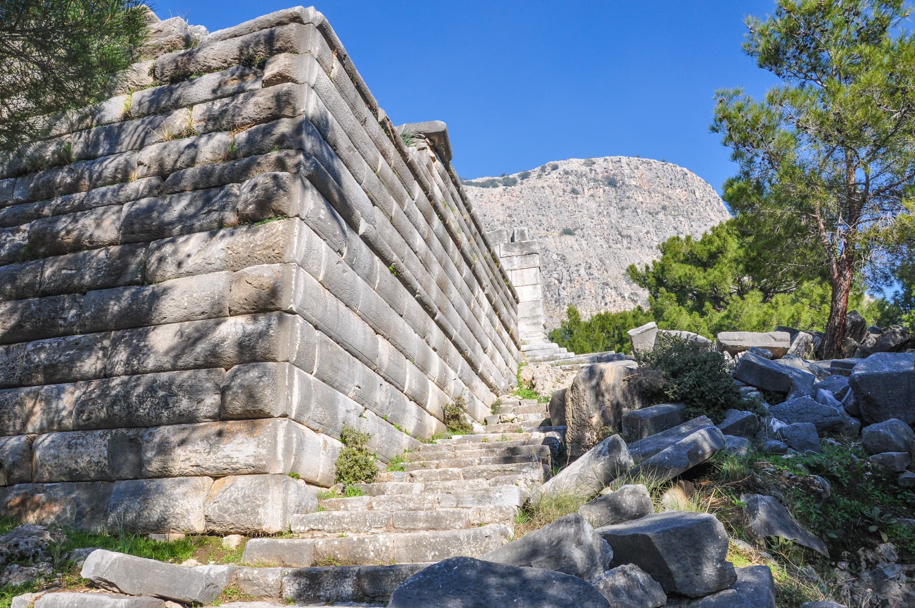 Retaining Wall