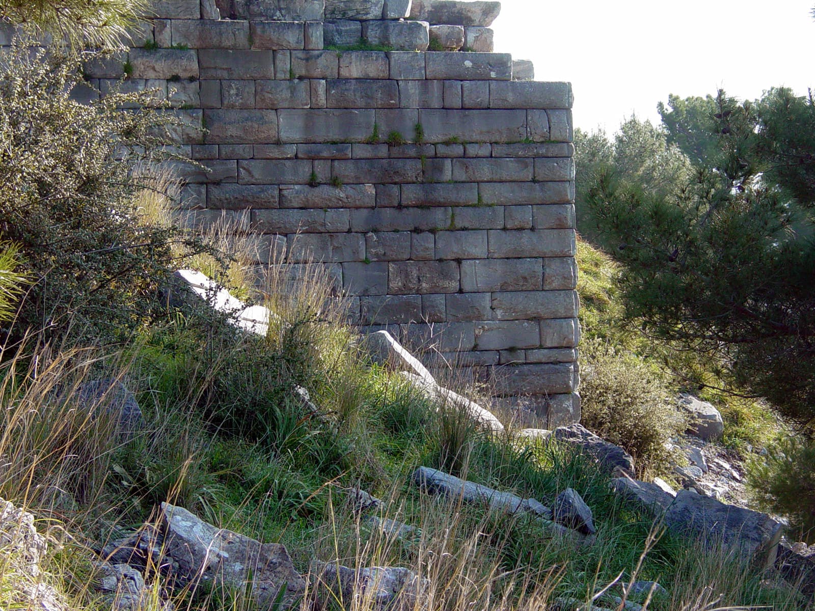 Retaining Wall (2)