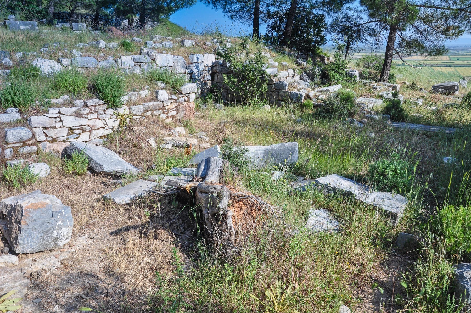 House of Alexander the Great 2