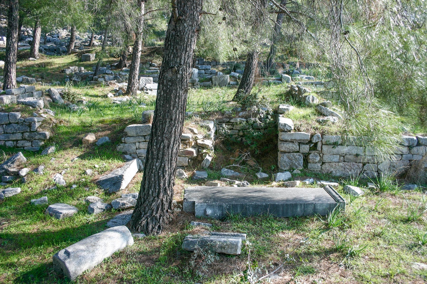 Synagogue Ark