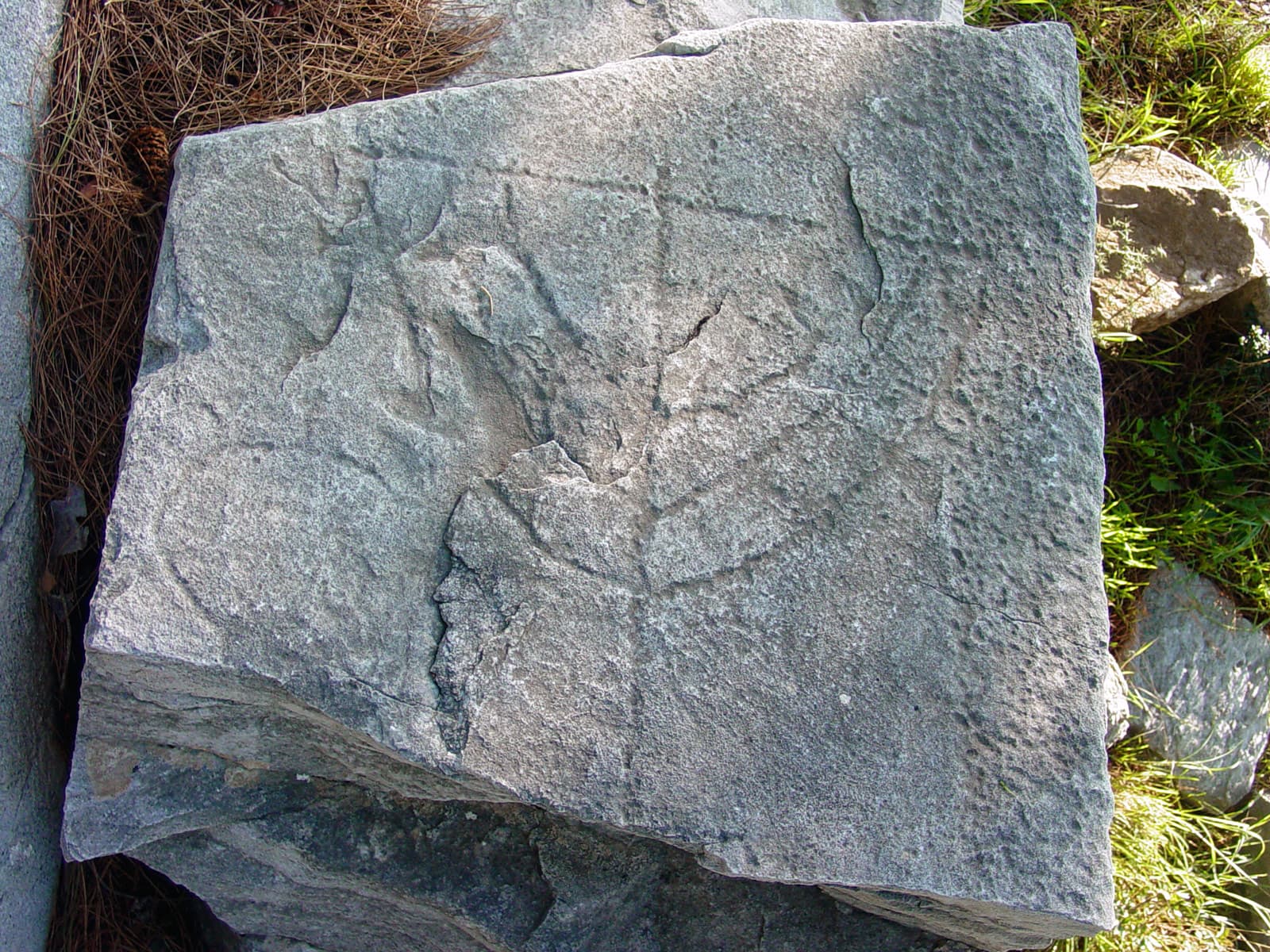 Menorah 1