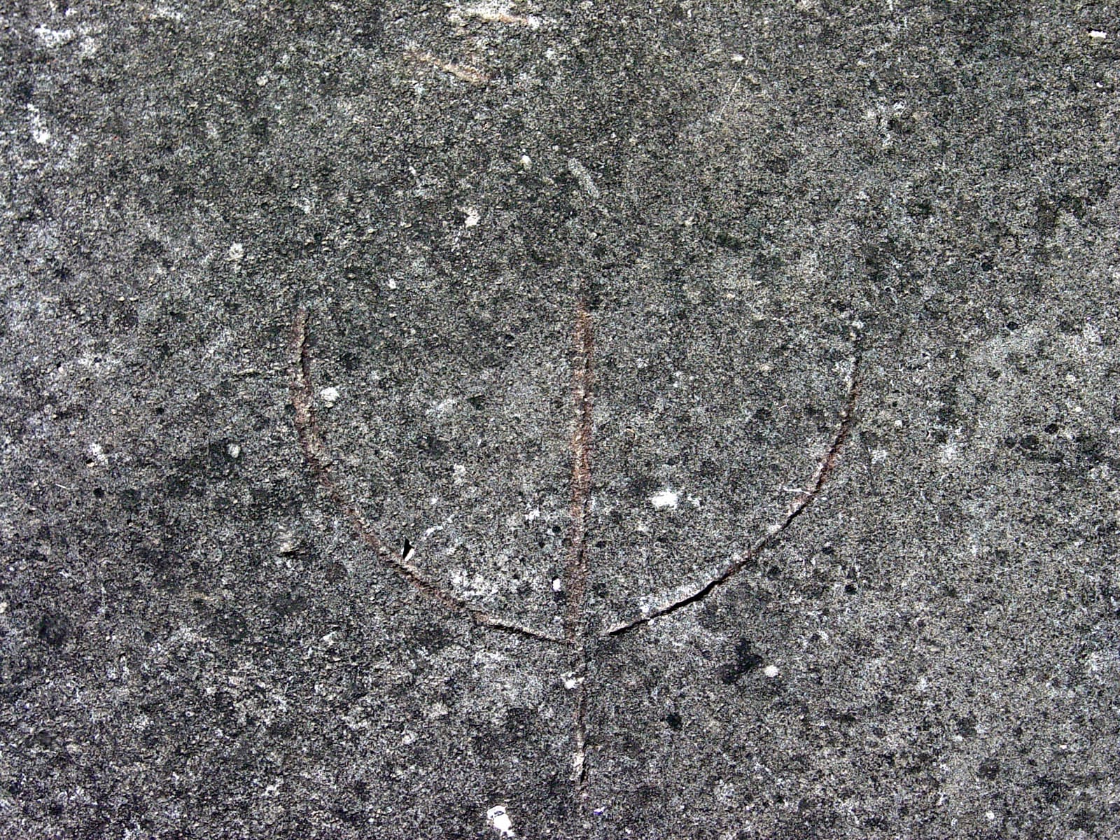 Menorah 2