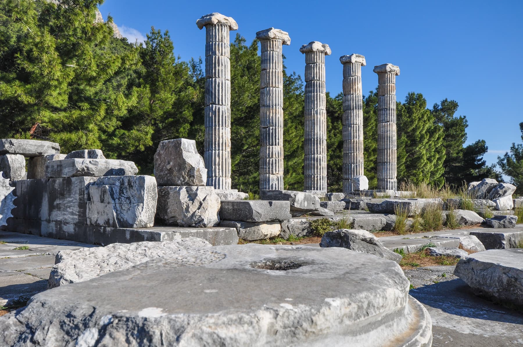 Athena Temple 2