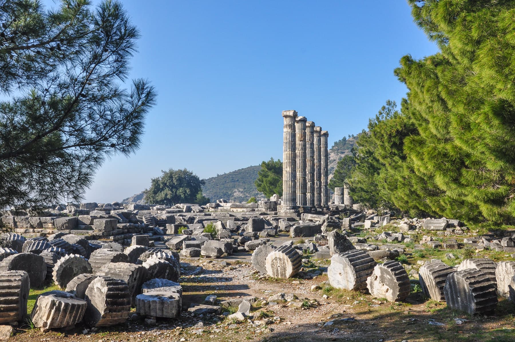 Athena Temple 3