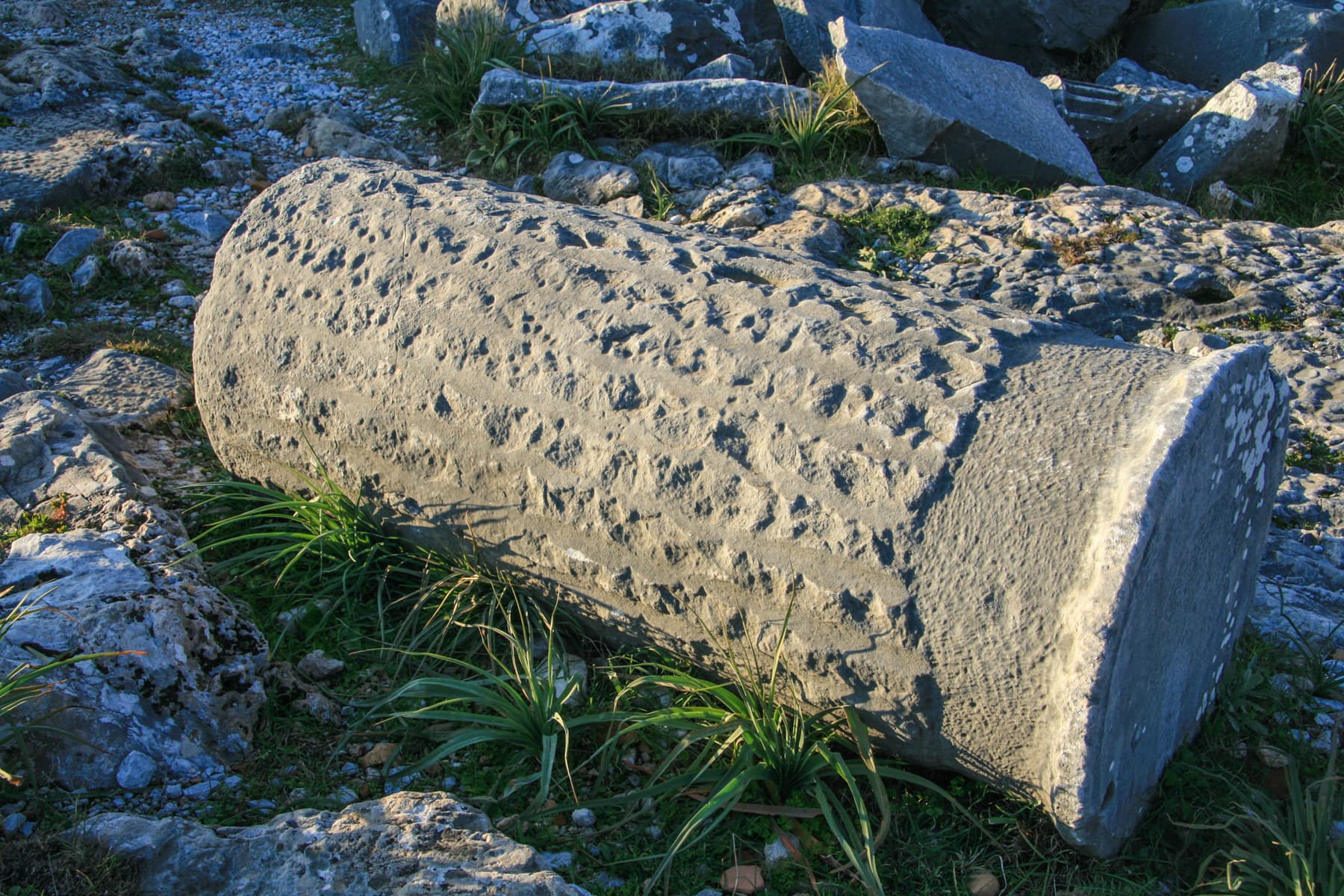 Column in Process