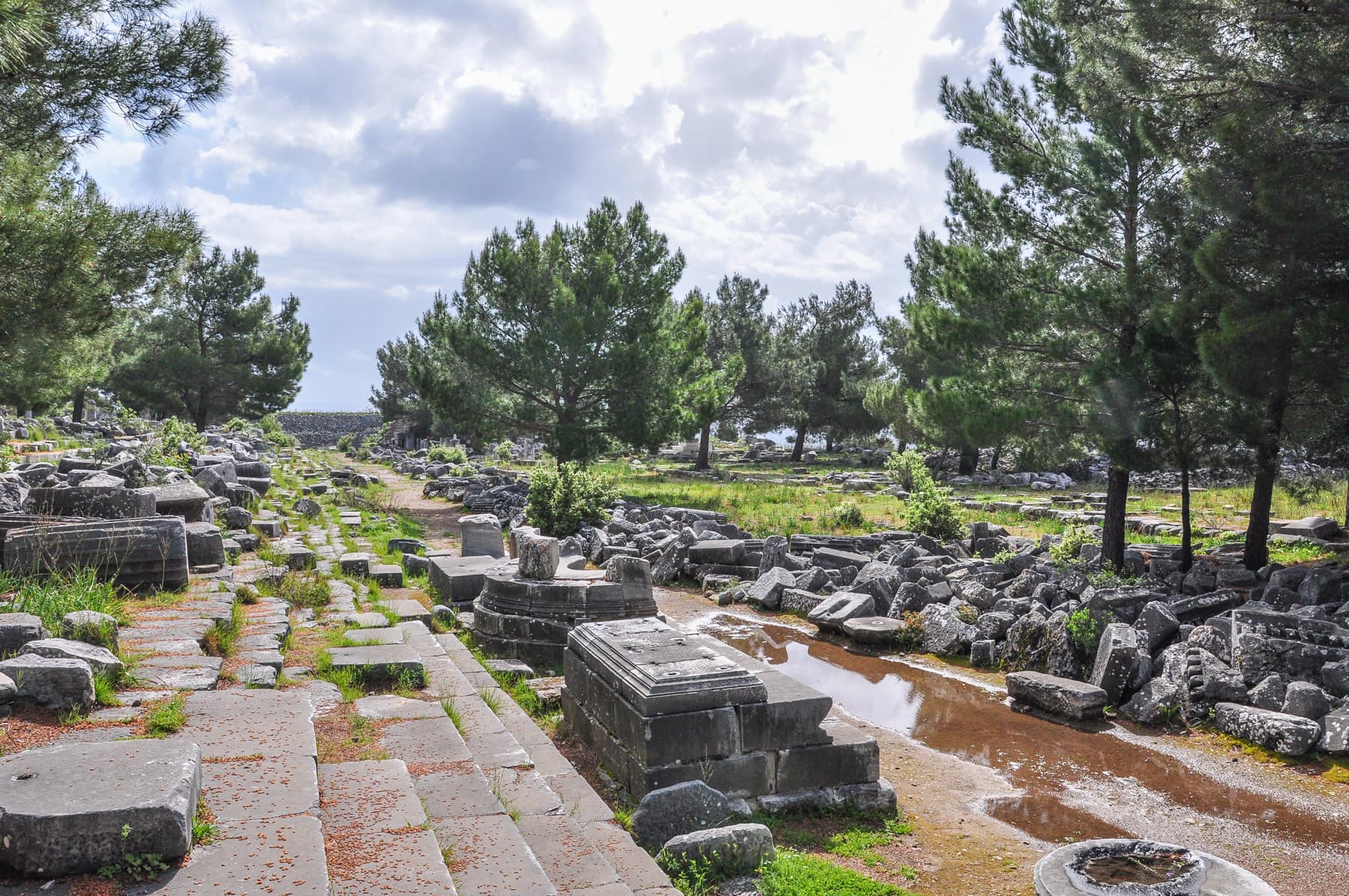 Agora/Forum