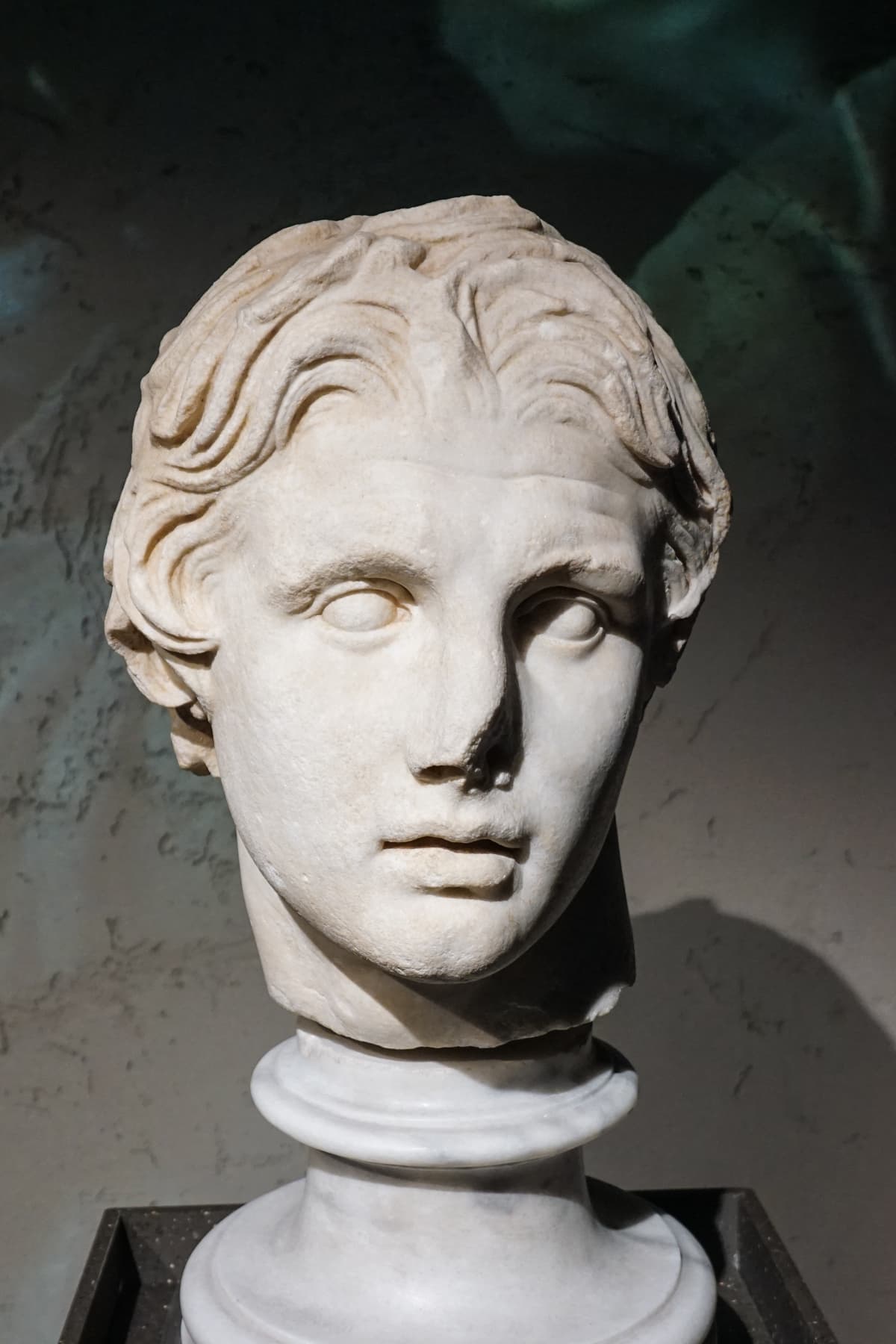 Alexander Head 1