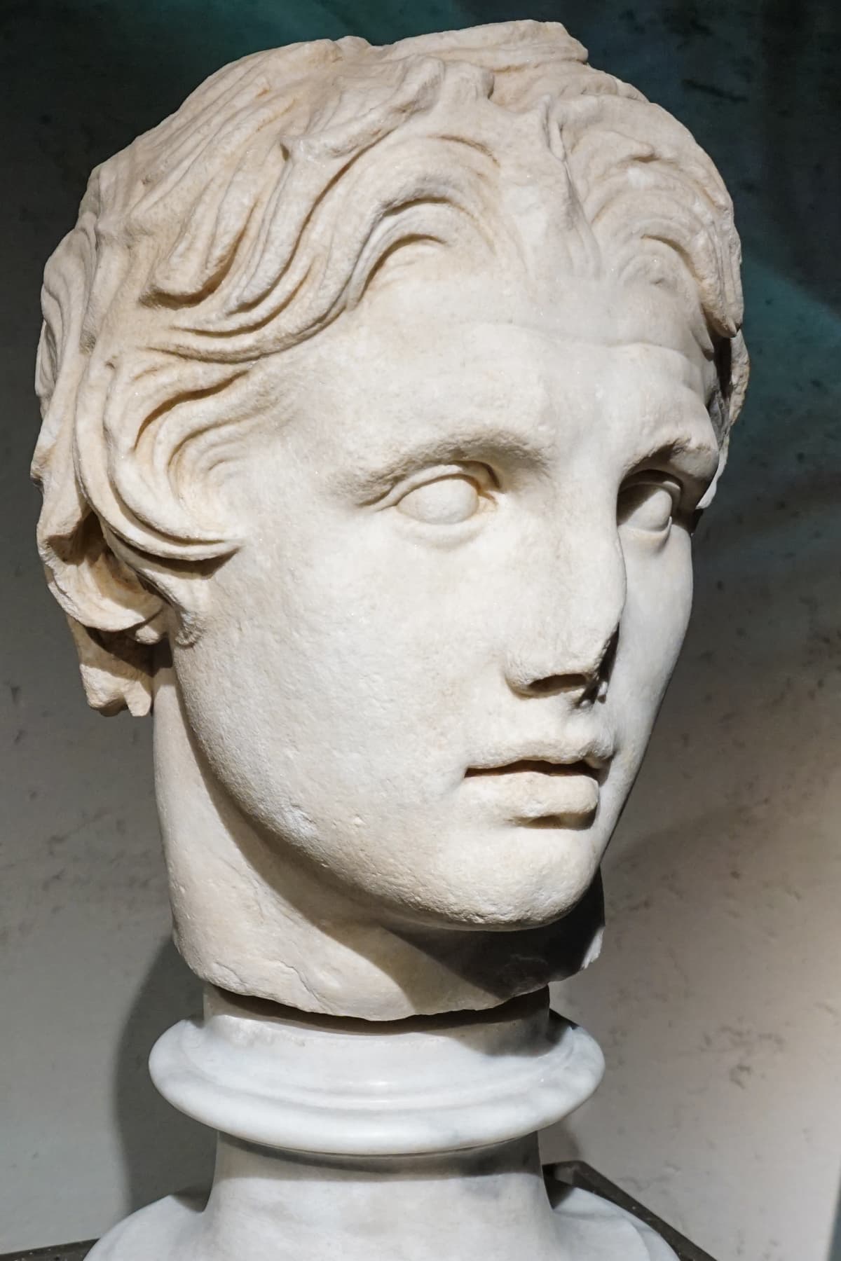 Alexander Head 2