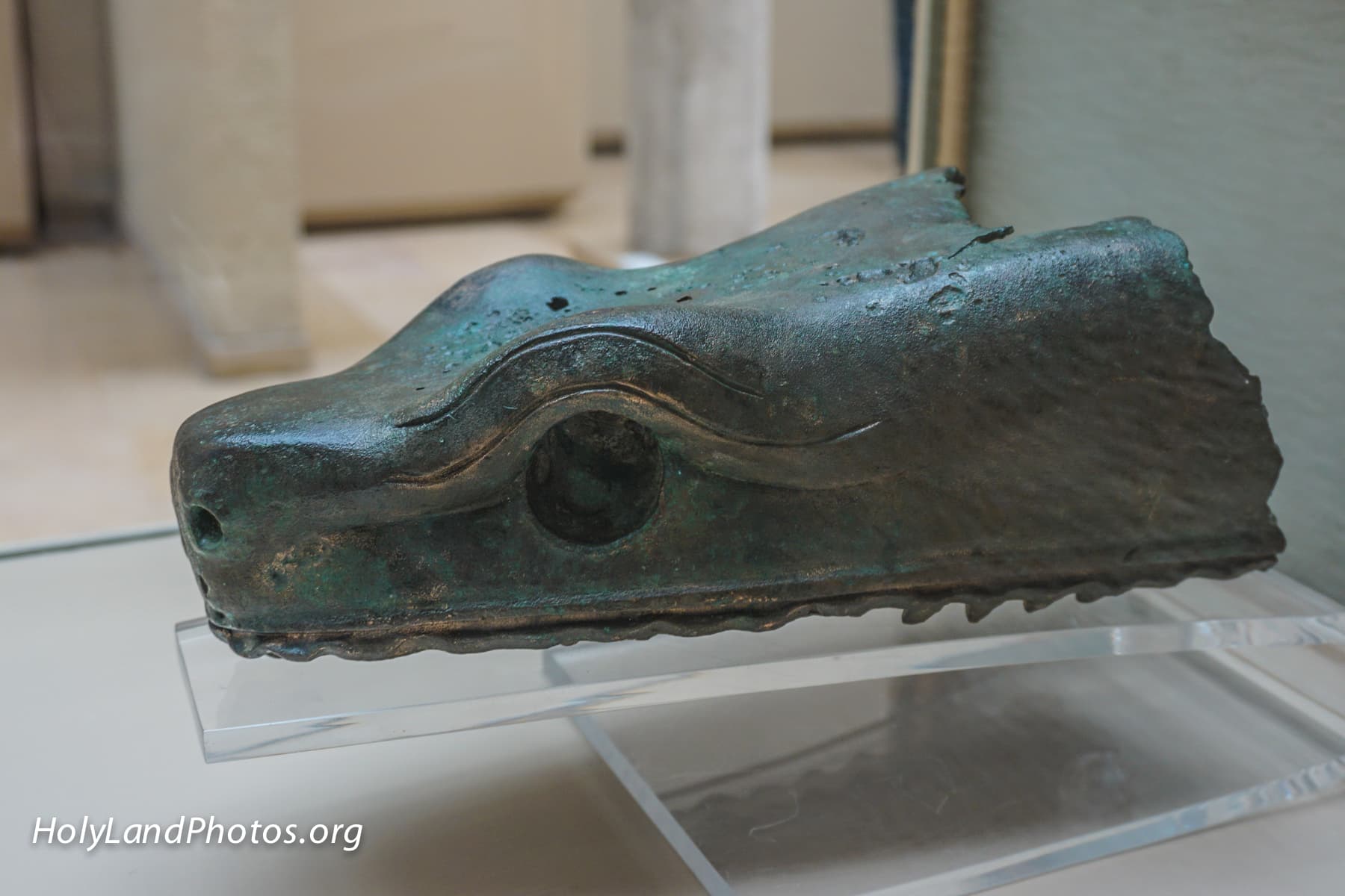 Serpent's Head