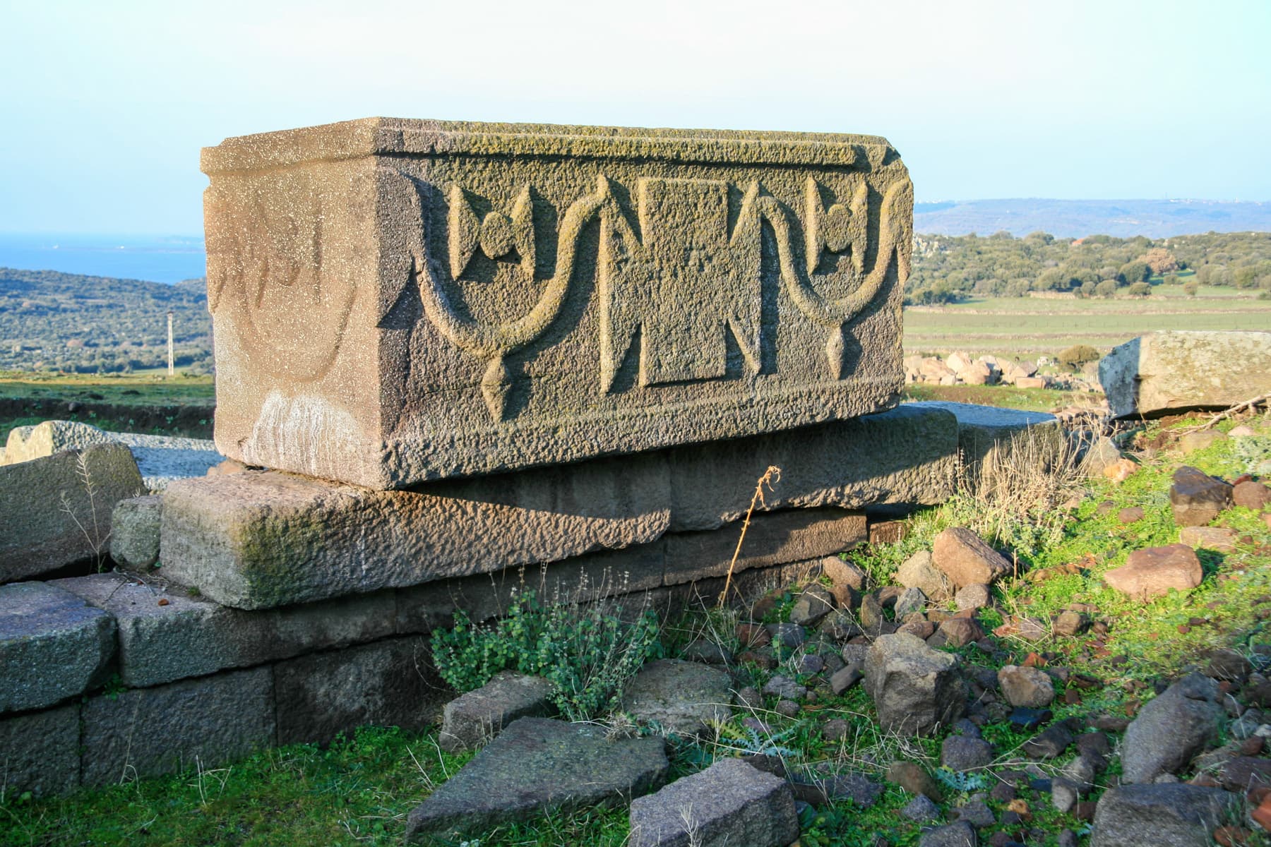Sarcophagus