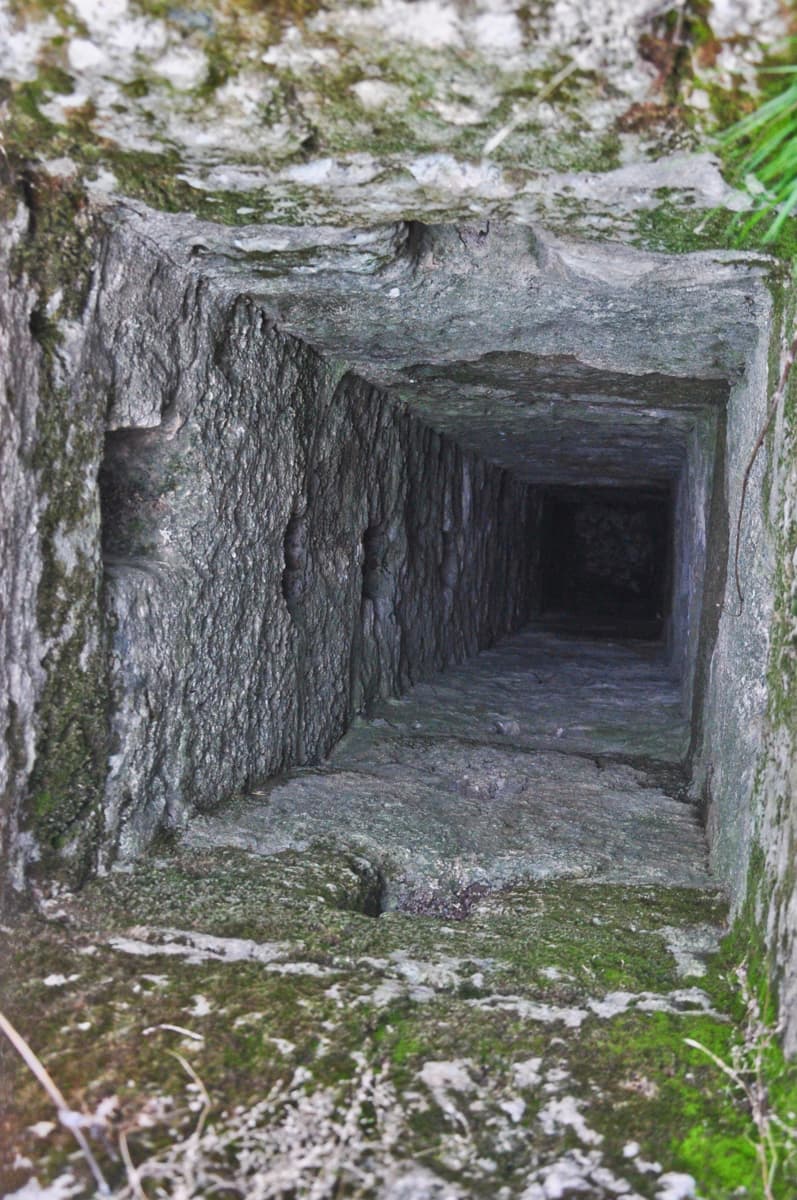 Vertical Shaft