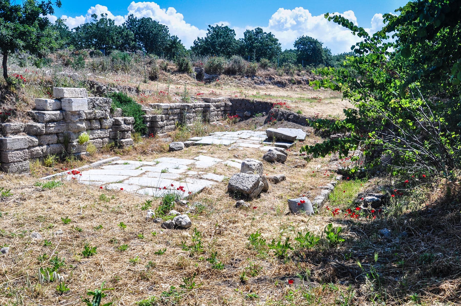 Decumanus