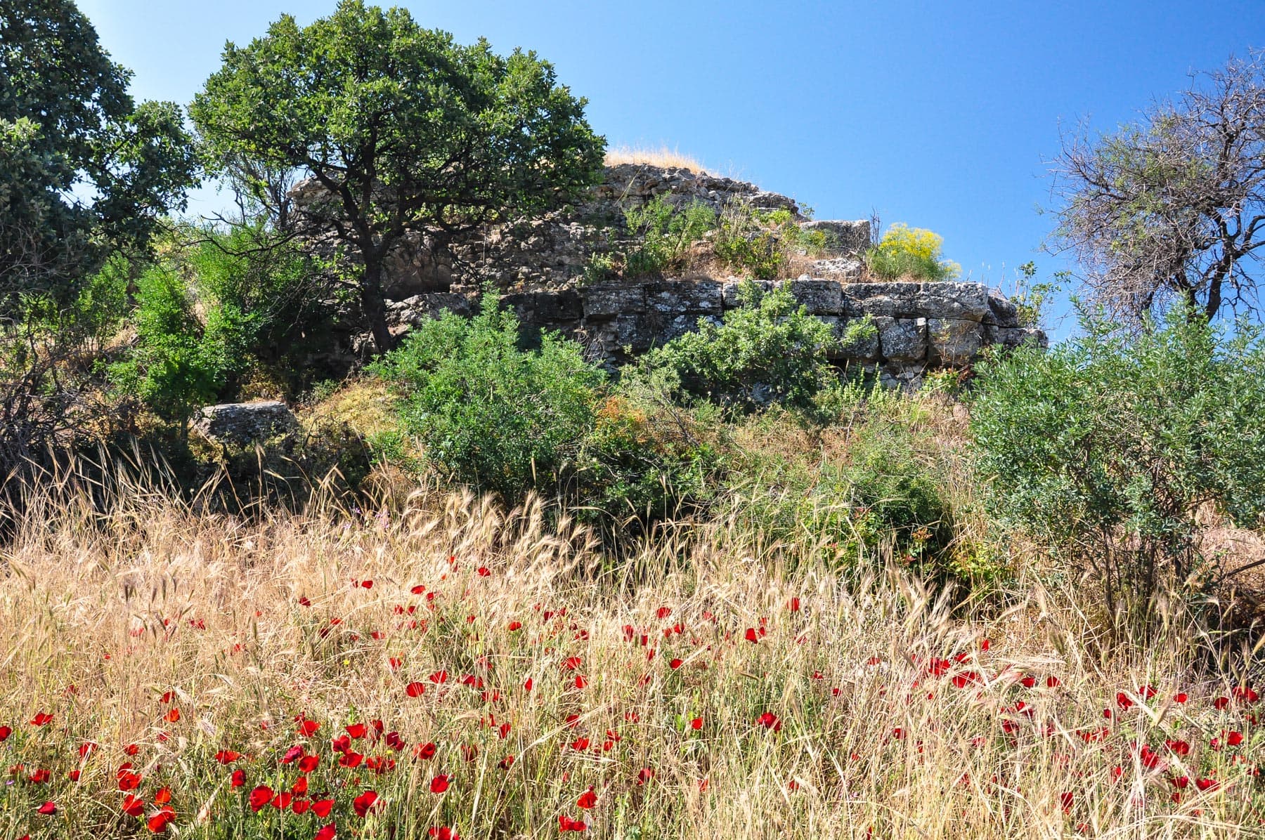 Capitolium Exterior