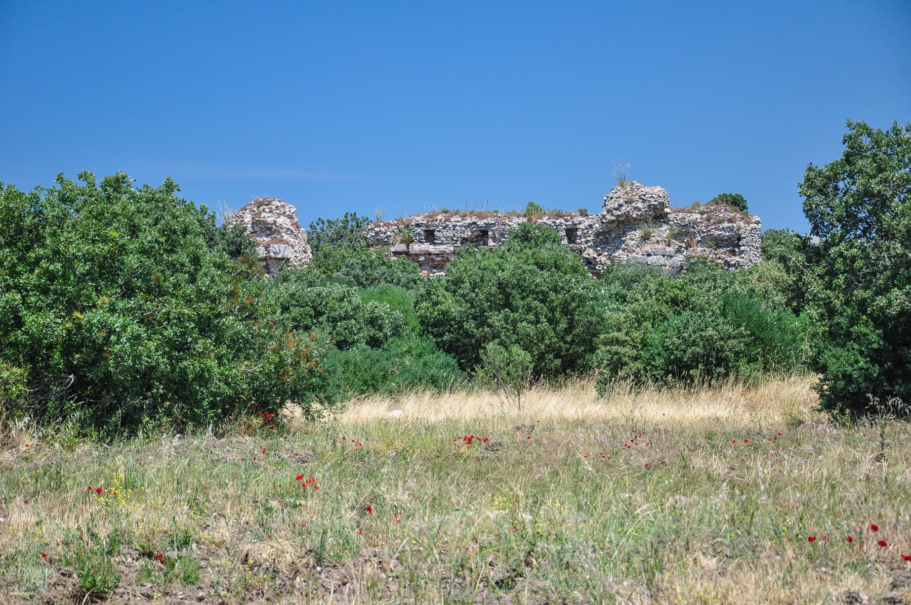 Basilica
