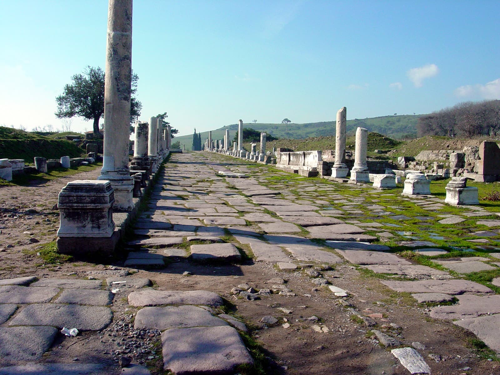 Via Tecta (West)