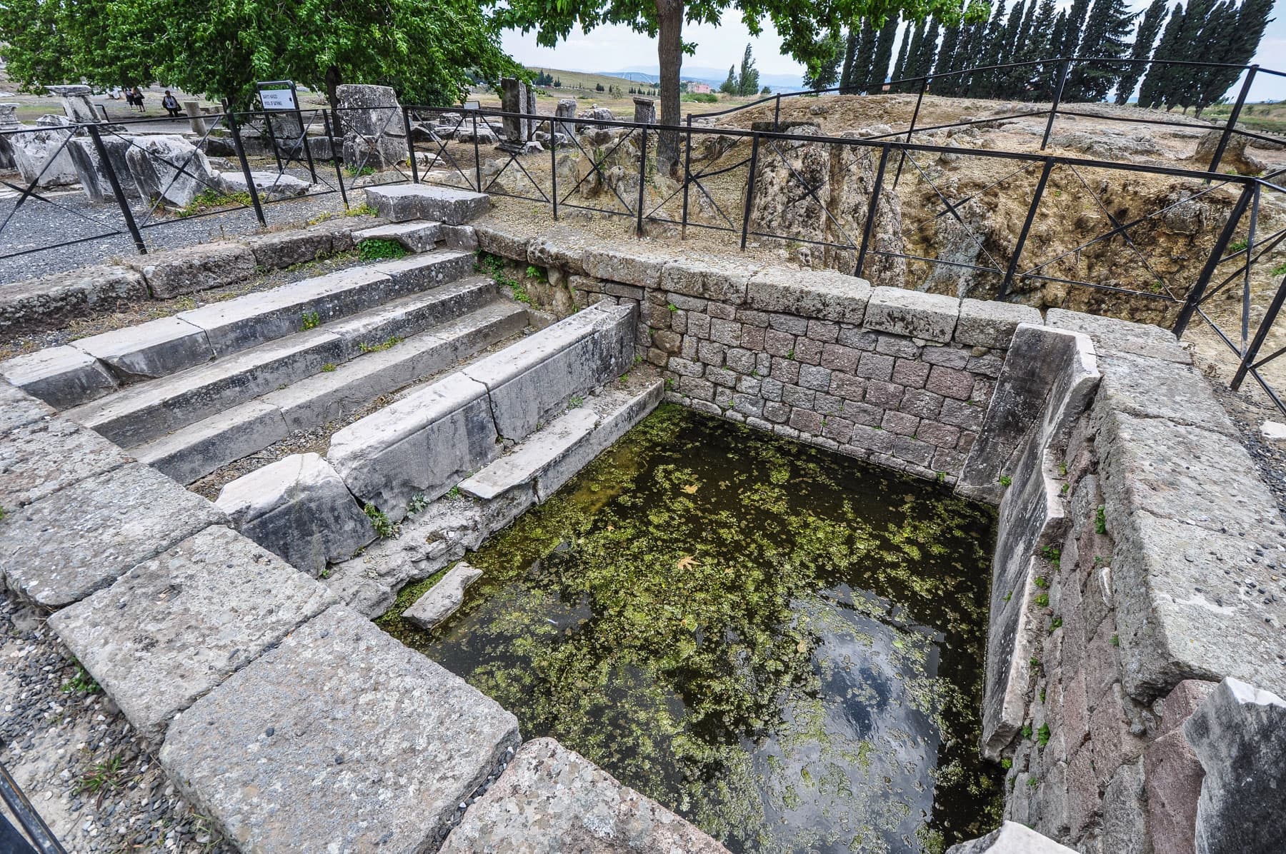 Pool (western)