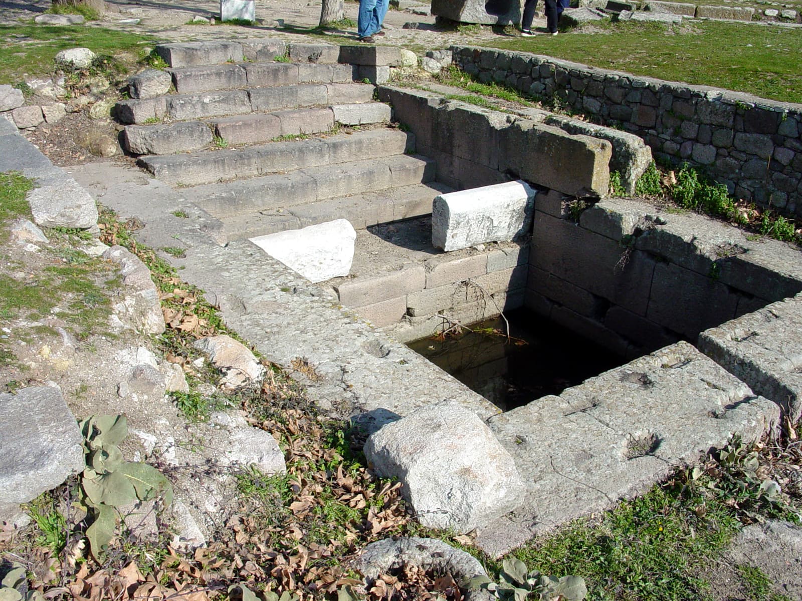 Pool (eastern)