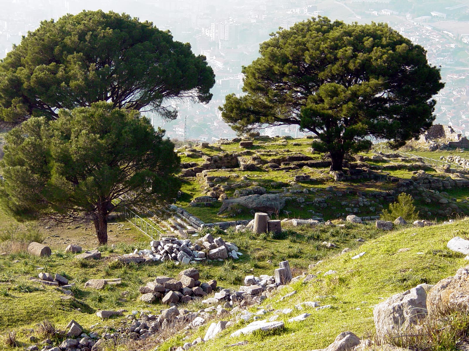 Altar of Zeus 2