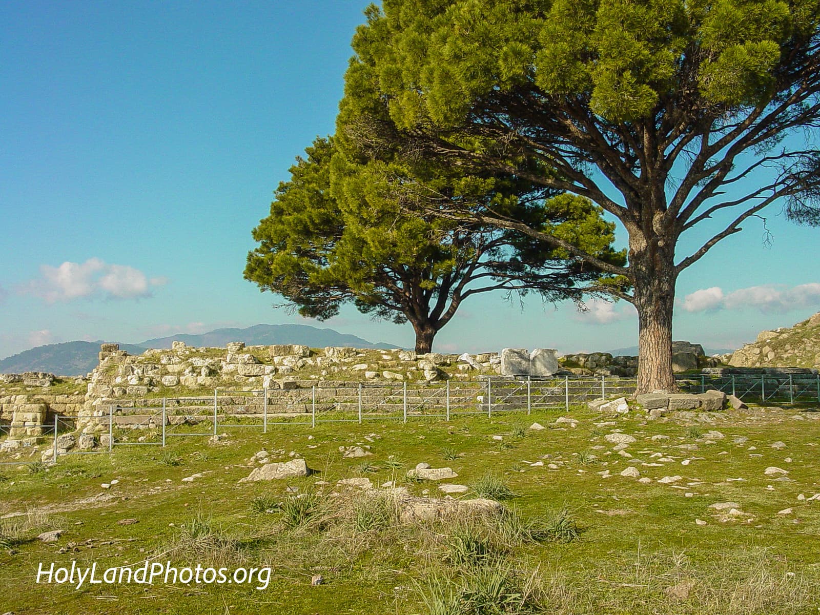 Altar of Zeus 3