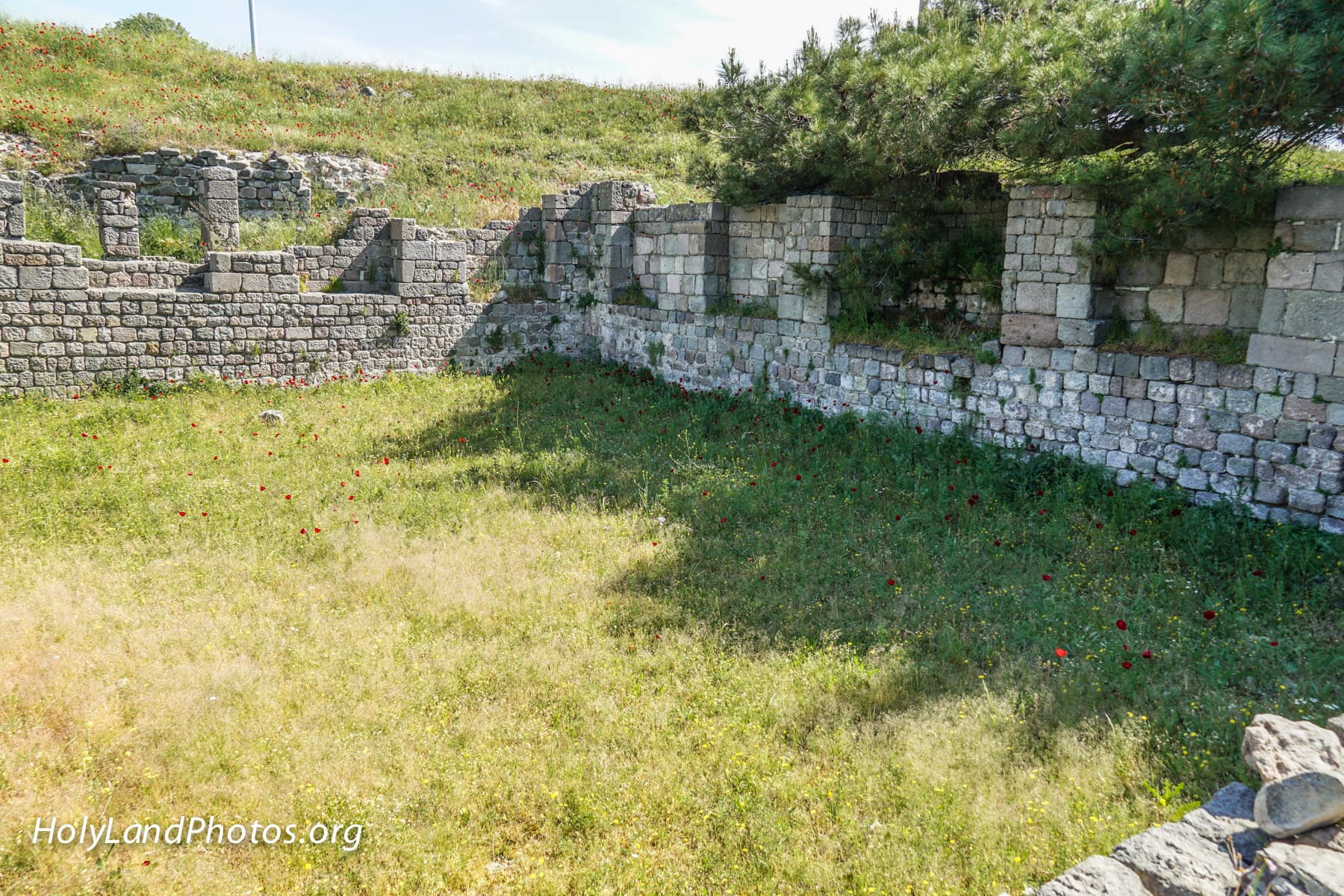 Library of Hadrian