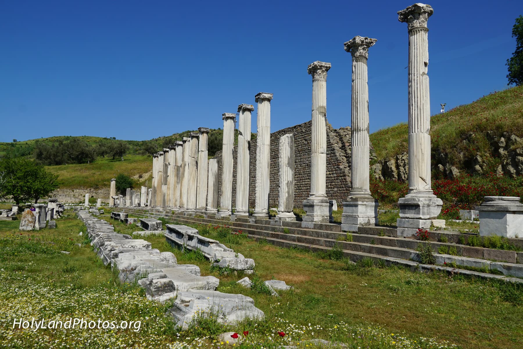 Ionic Portico