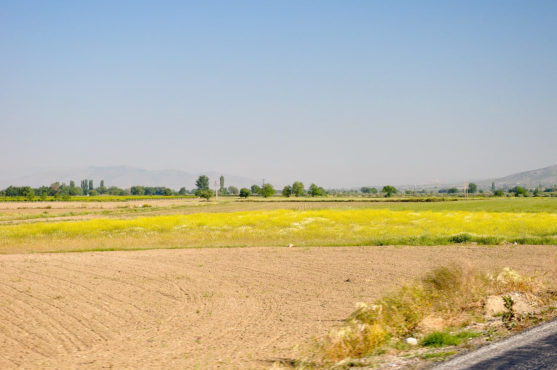 Landscape