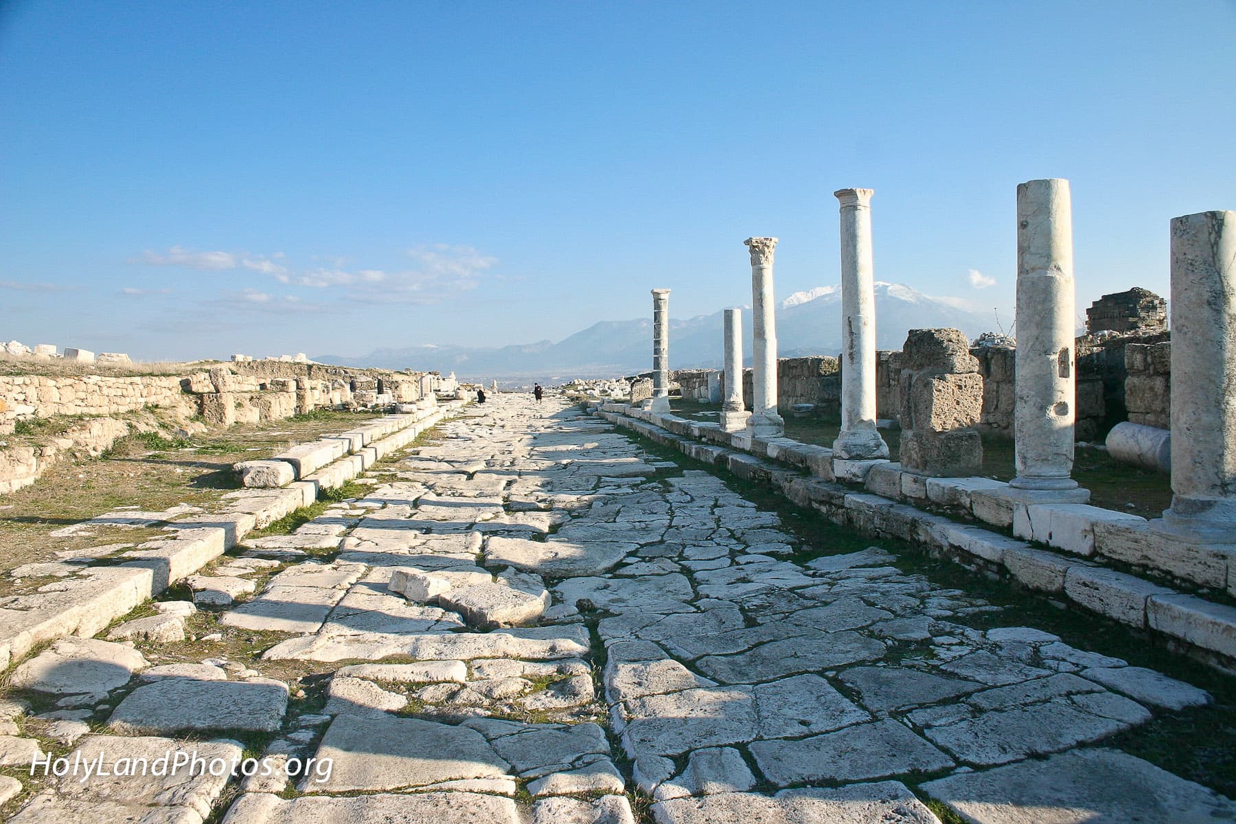 Laodicea Cardo