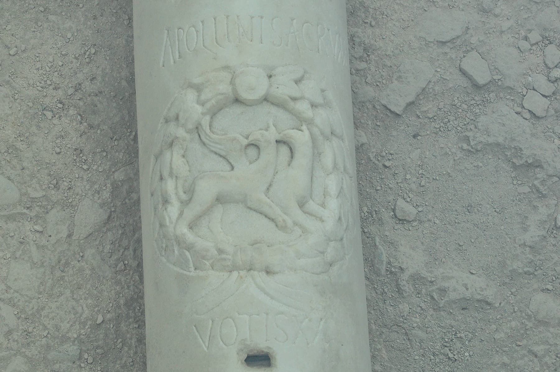 Column B Griffins