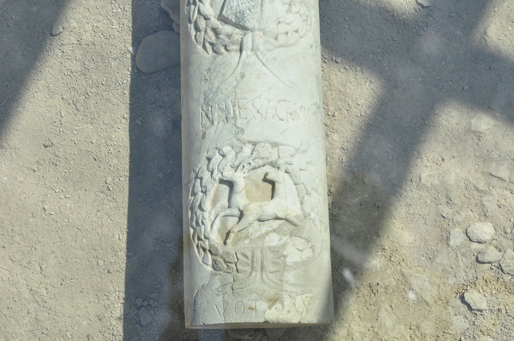Column A Deer