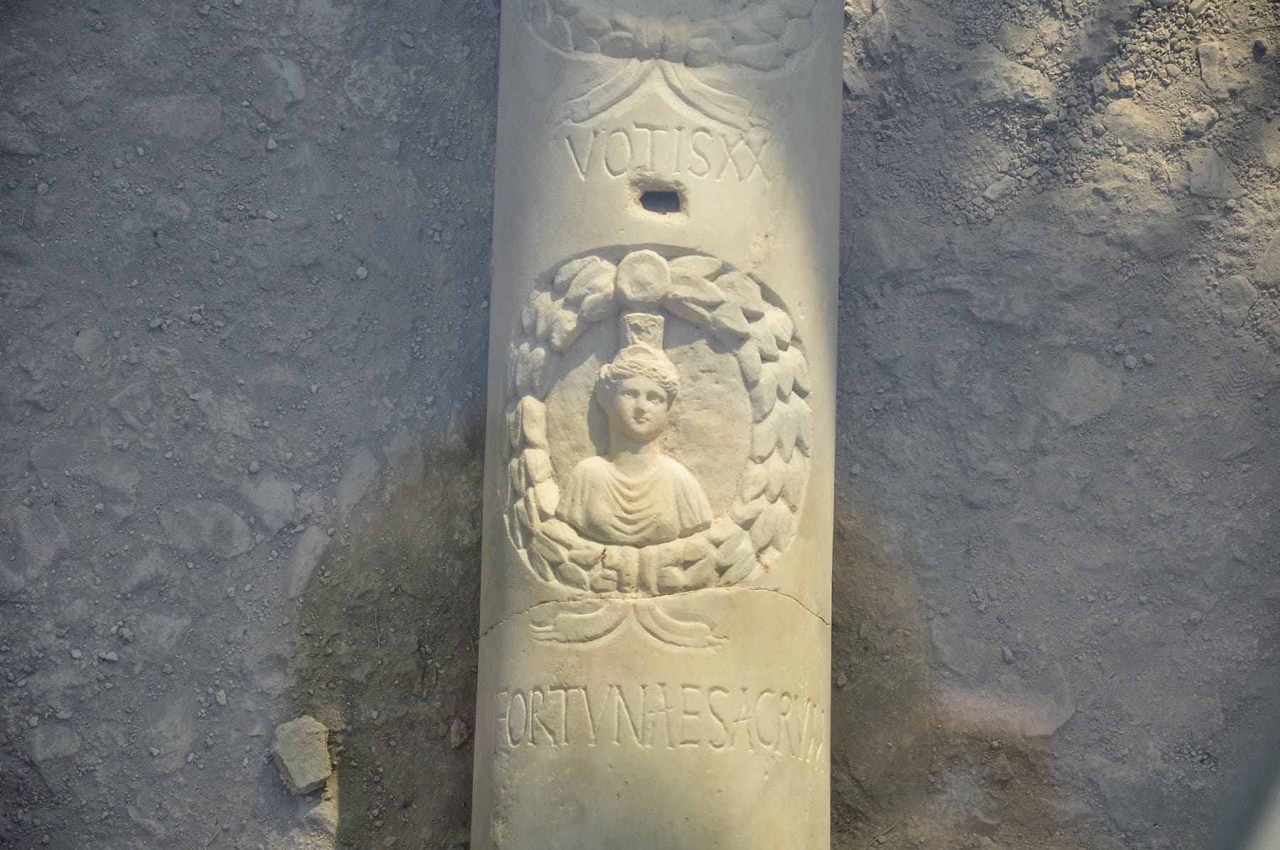 Column B Fortuna